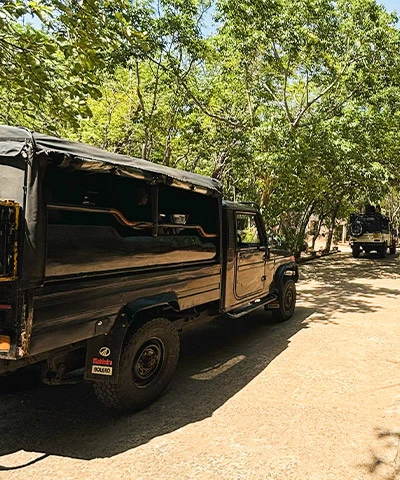 Professional safari guides jeep safari Sri Lanka tours